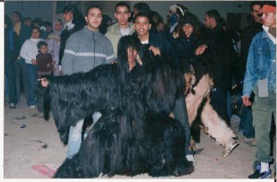 karnaval